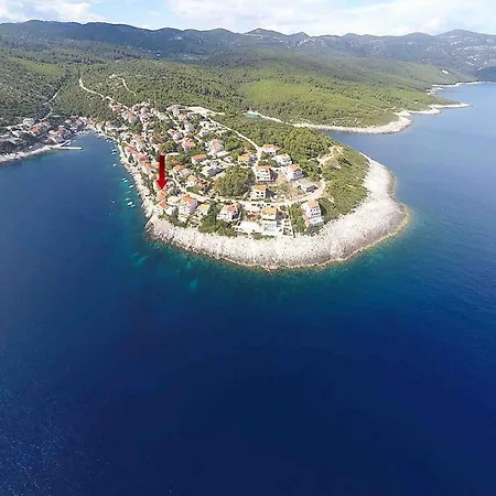 Laus Zavalatica